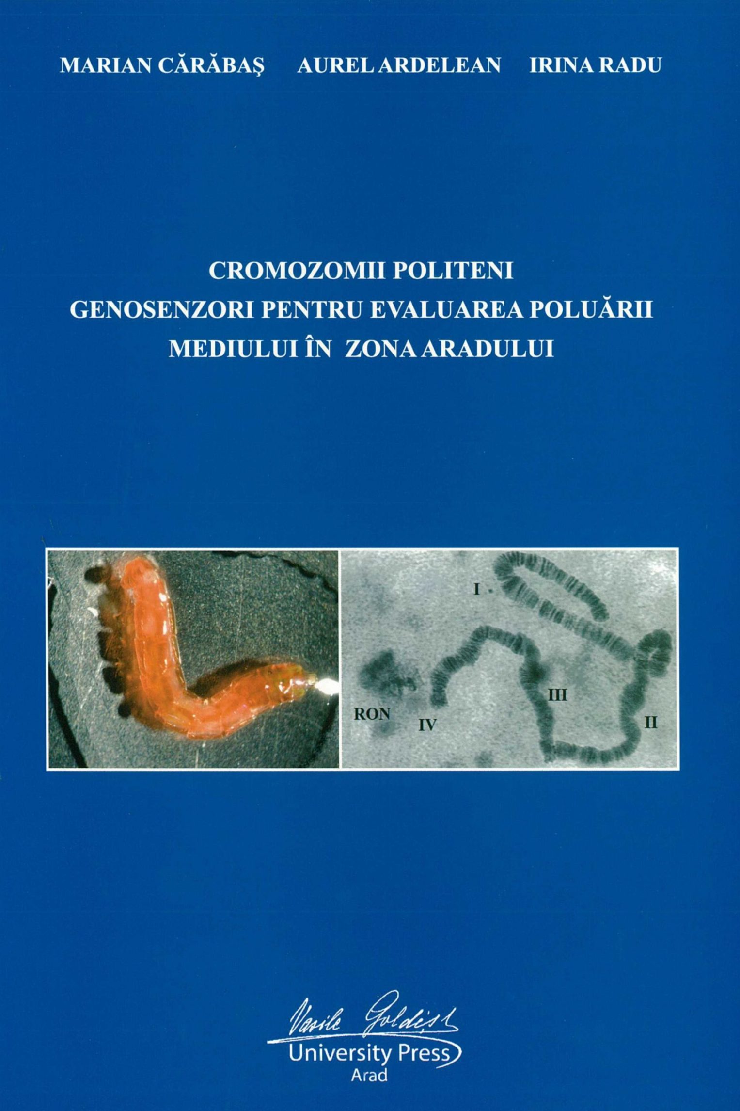 Cromozomii politeni genosenzori pentru evaluarea poluării mediului în zona Aradului