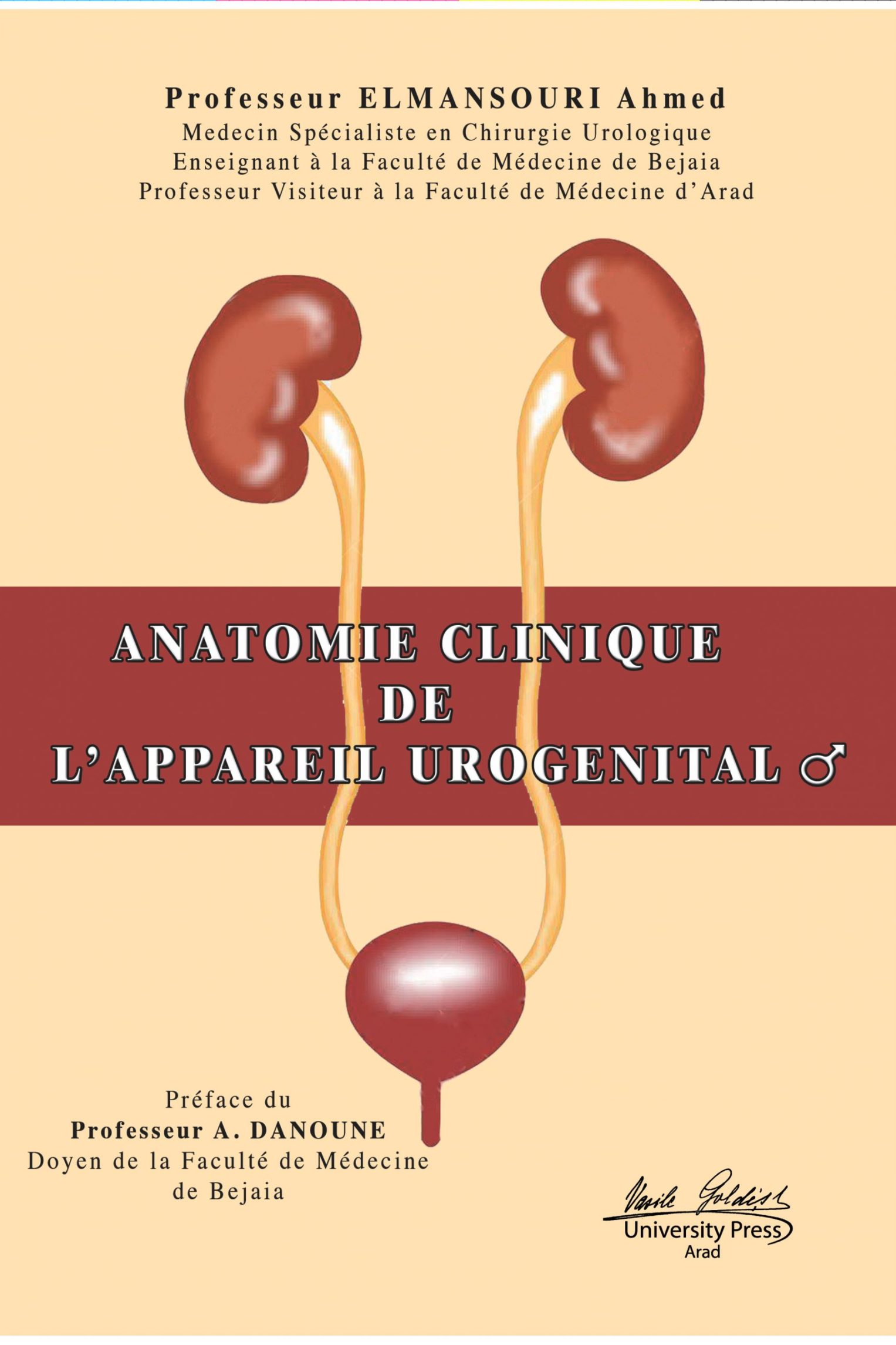 Anatomie clinique de l`appareil urogenital