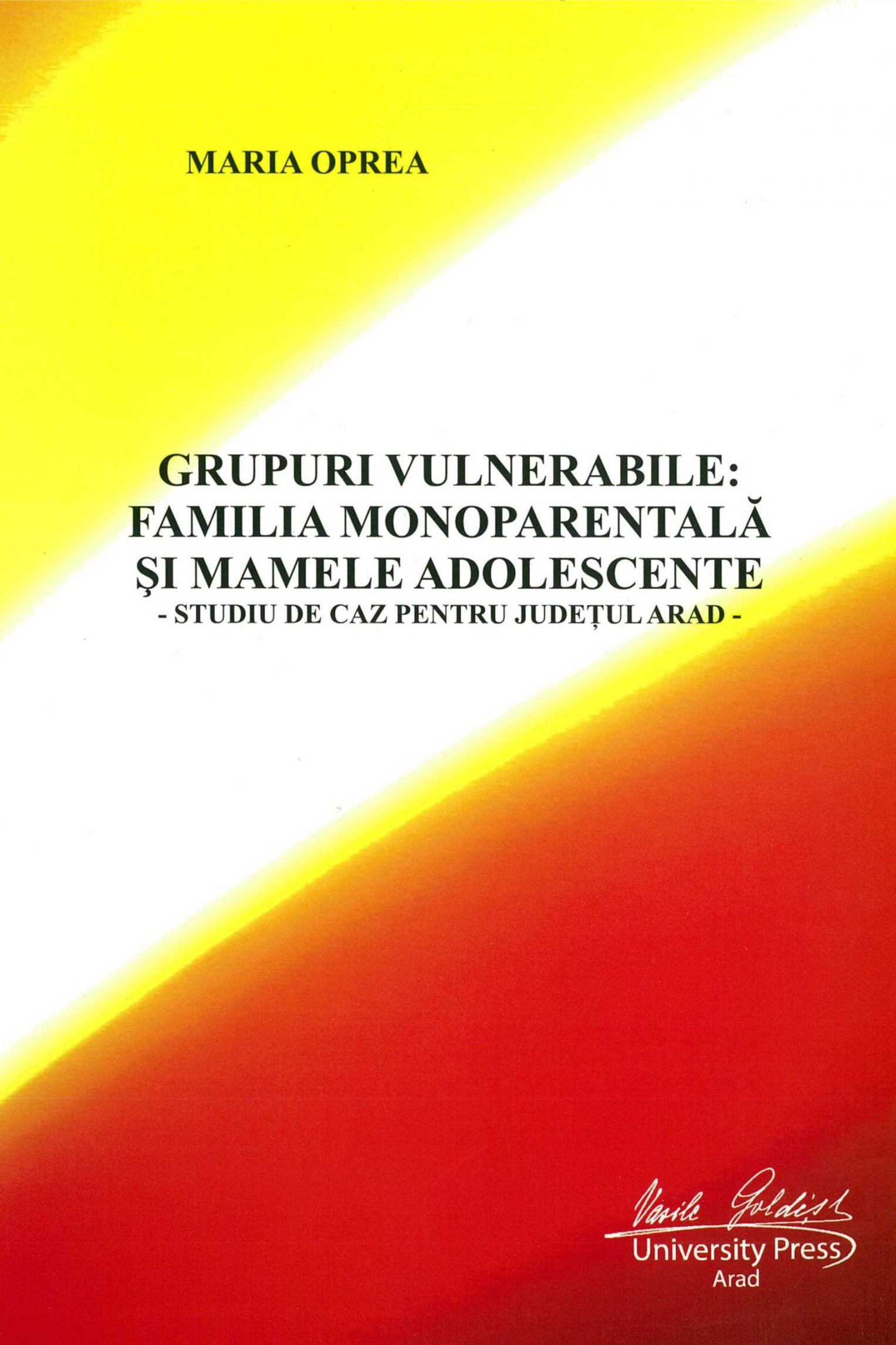 GRUPURI VULNERABILE: Familia monoparentală și mamele adolescente