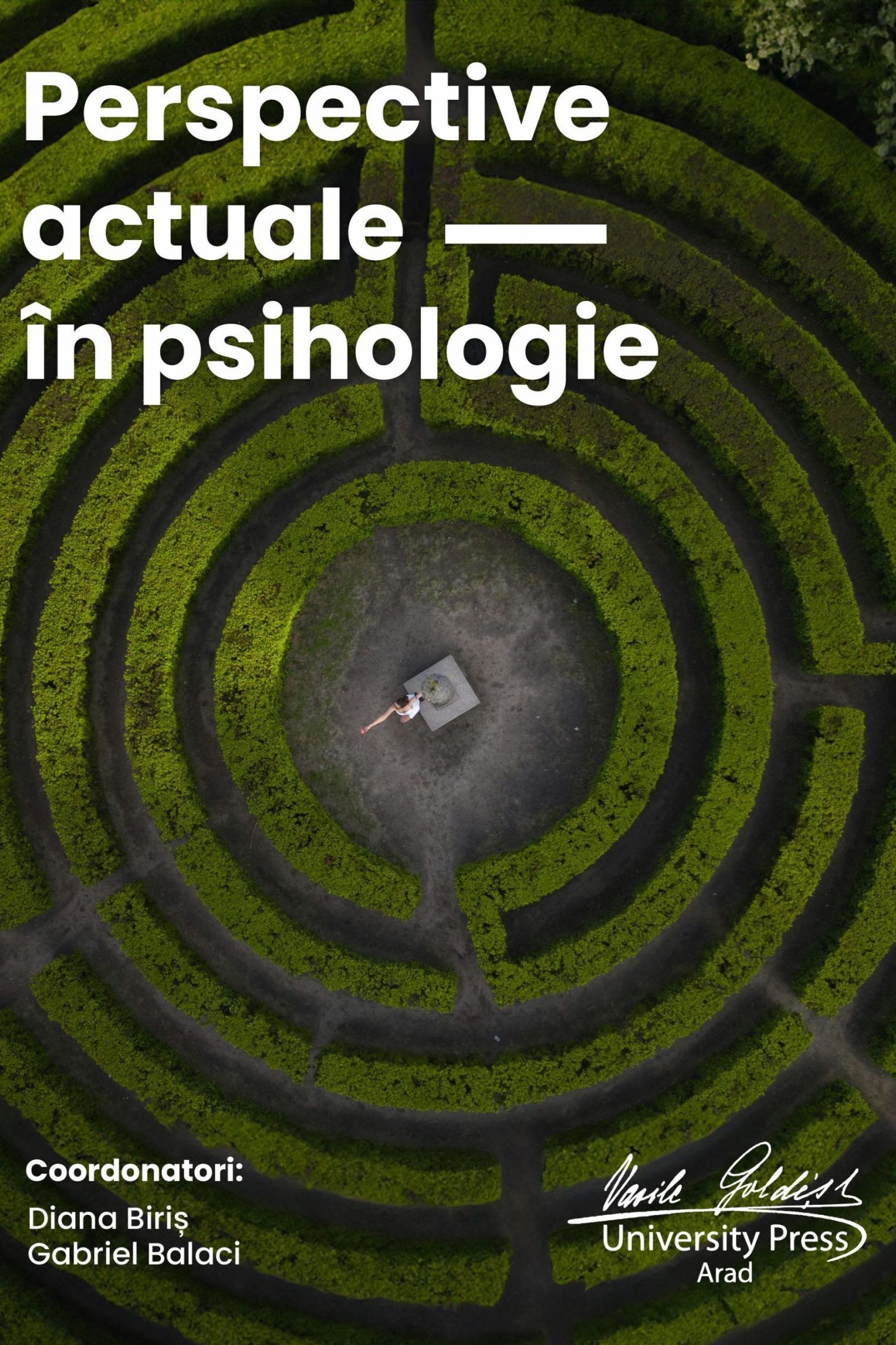 Perspective actuale în psihologie (eBook)